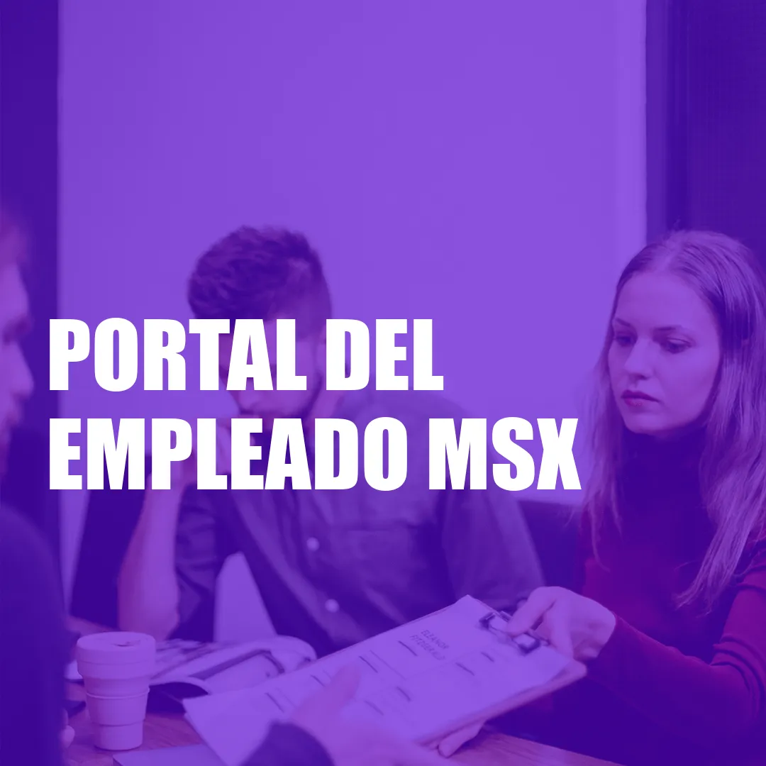 Portal del Empleado Msx