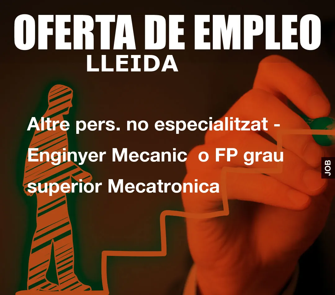 Altre pers. no especialitzat – Enginyer Mecanic  o FP grau superior Mecatronica