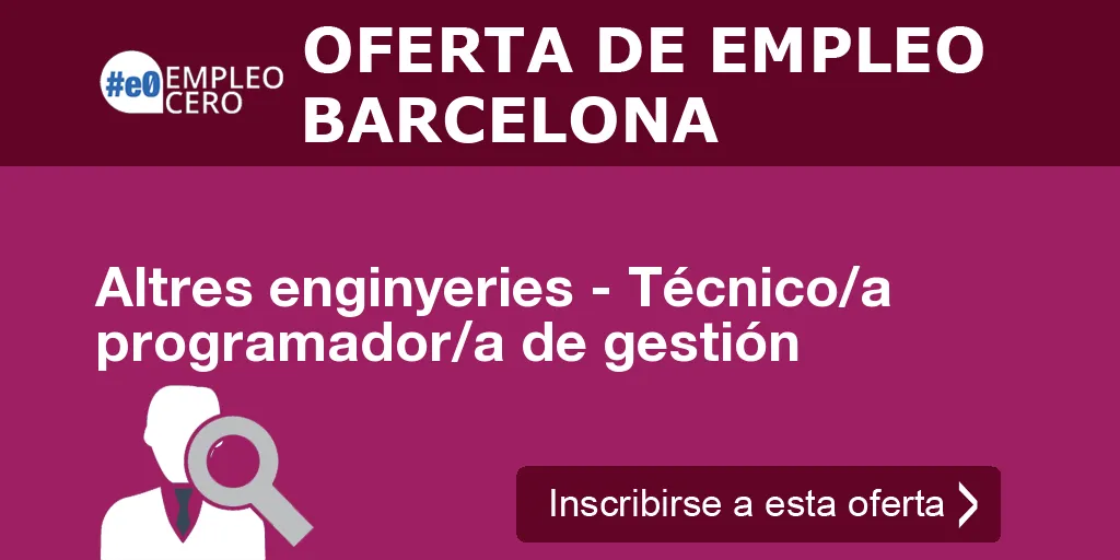 Altres enginyeries - Técnico/a programador/a de gestión