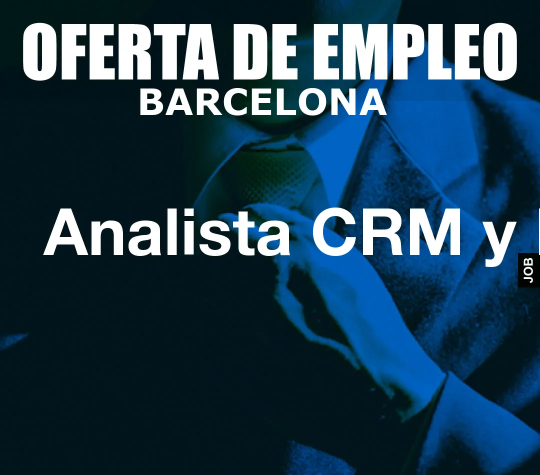 Analista CRM y BI