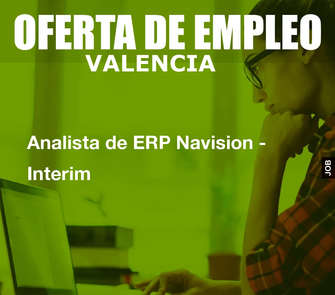 Analista de ERP Navision – Interim