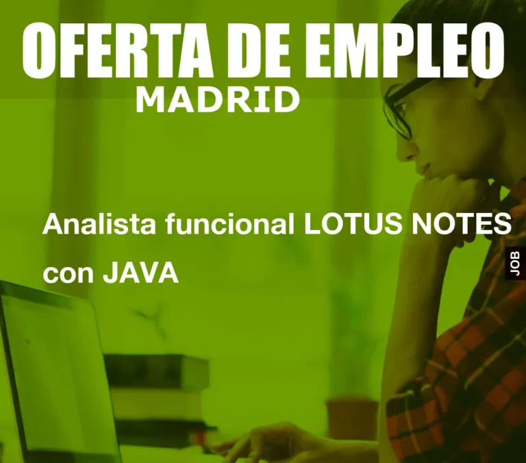 Analista funcional LOTUS NOTES con JAVA