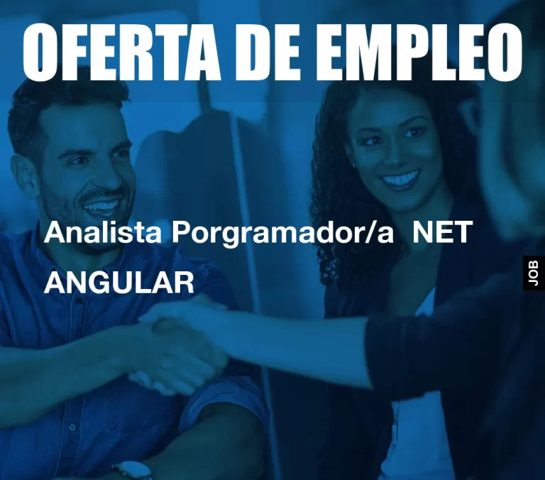 Analista Porgramador/a  NET ANGULAR
