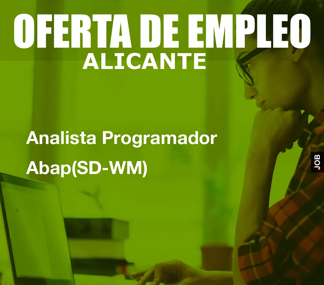Analista Programador Abap(SD-WM)