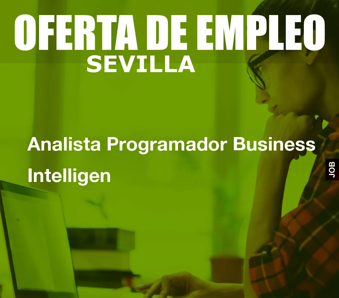 Analista Programador Business Intelligen