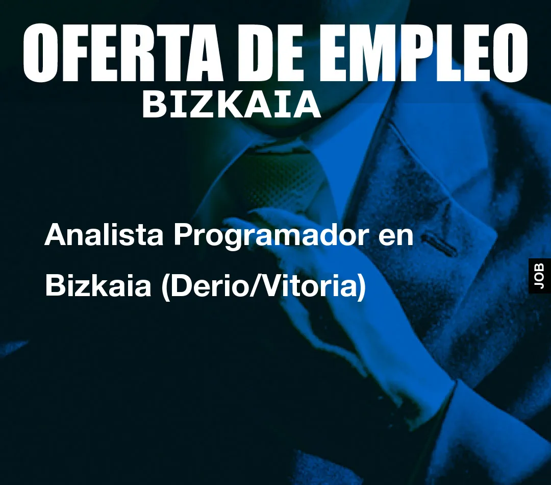 Analista Programador en Bizkaia (Derio/Vitoria)
