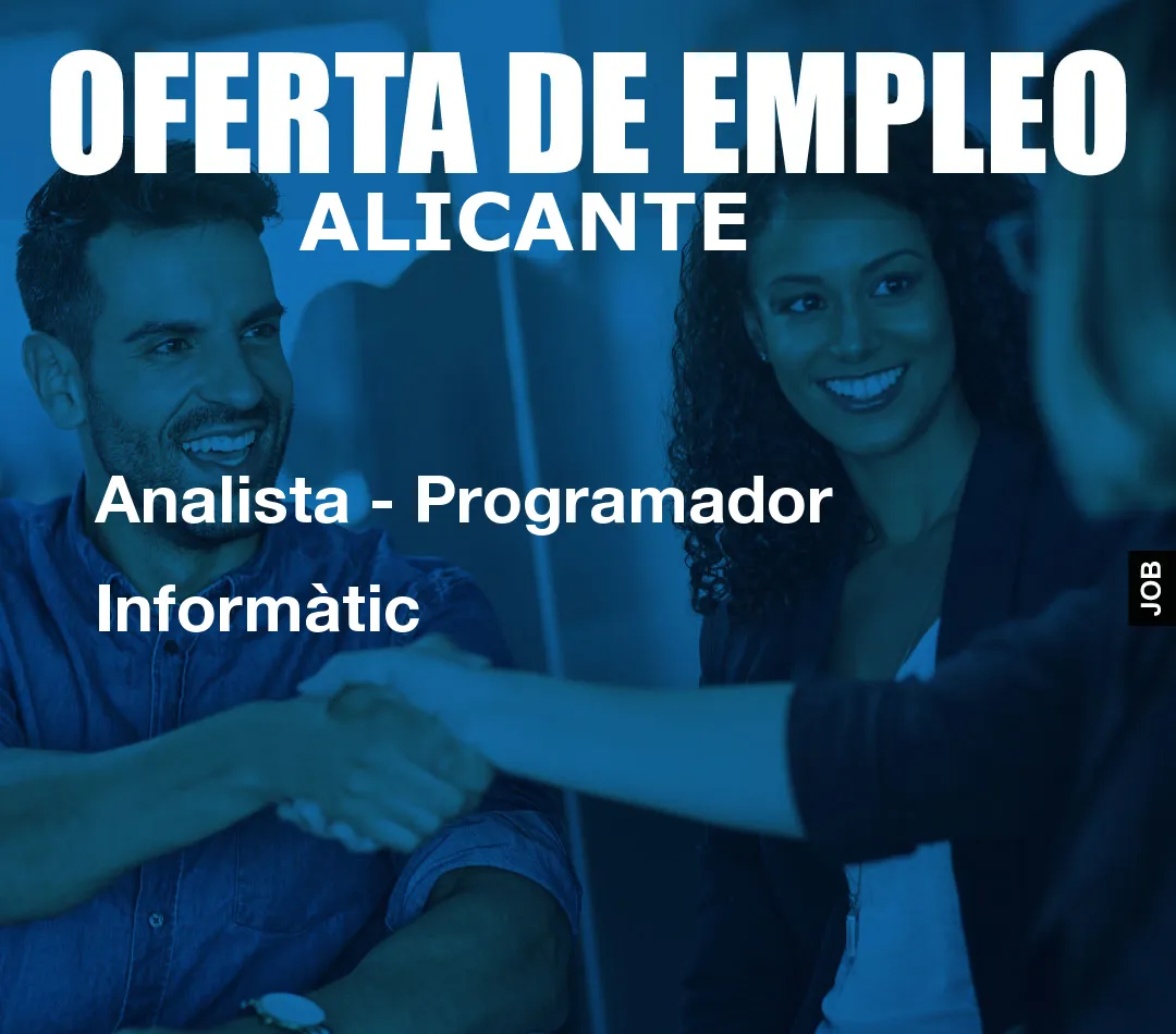 Analista – Programador Informàtic