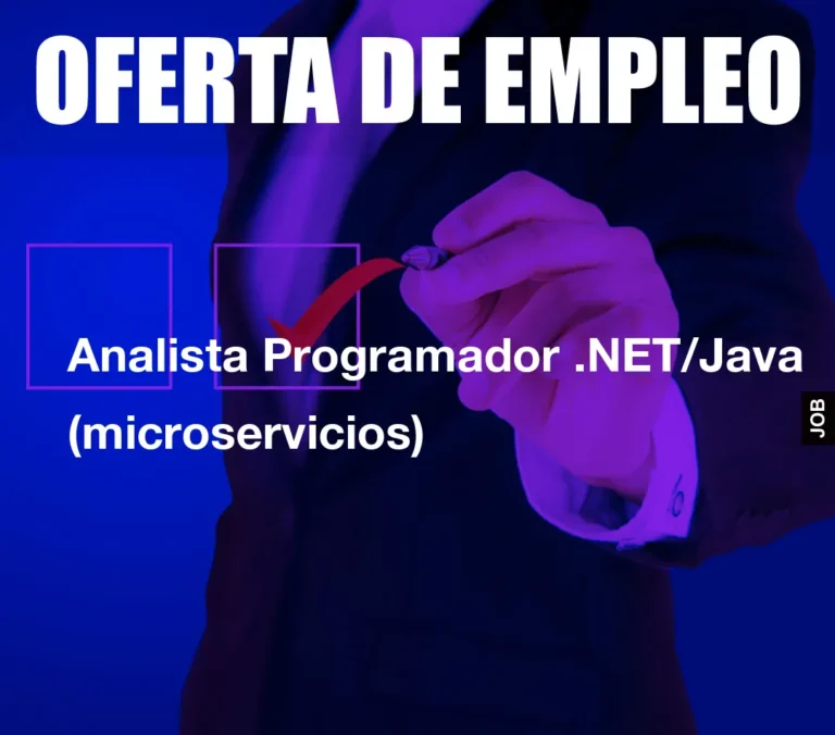 Analista Programador .NET/Java (microservicios)