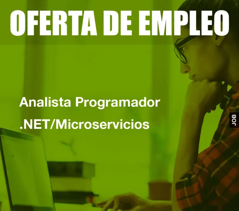 Analista Programador .NET/Microservicios