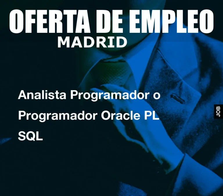 Analista Programador o Programador Oracle PL SQL