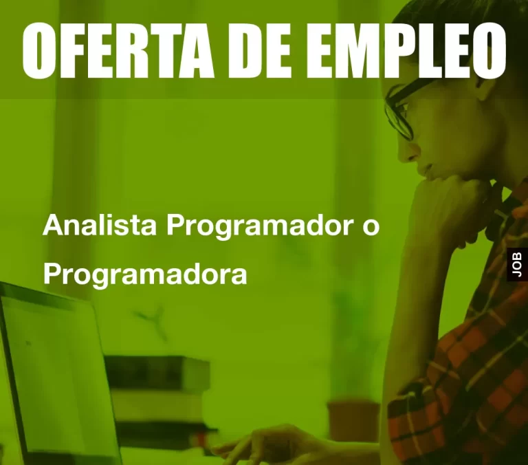 Analista Programador o Programadora