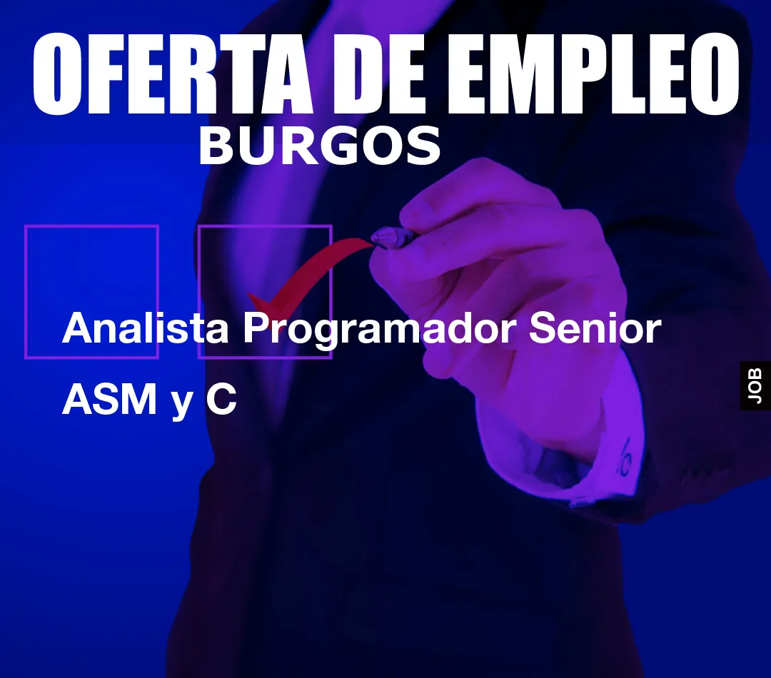 Analista Programador Senior ASM y C Analista Programador Senior ASM y C