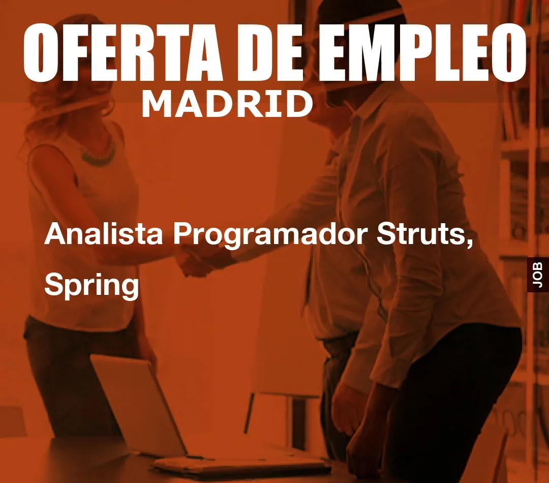 Analista Programador Struts, Spring