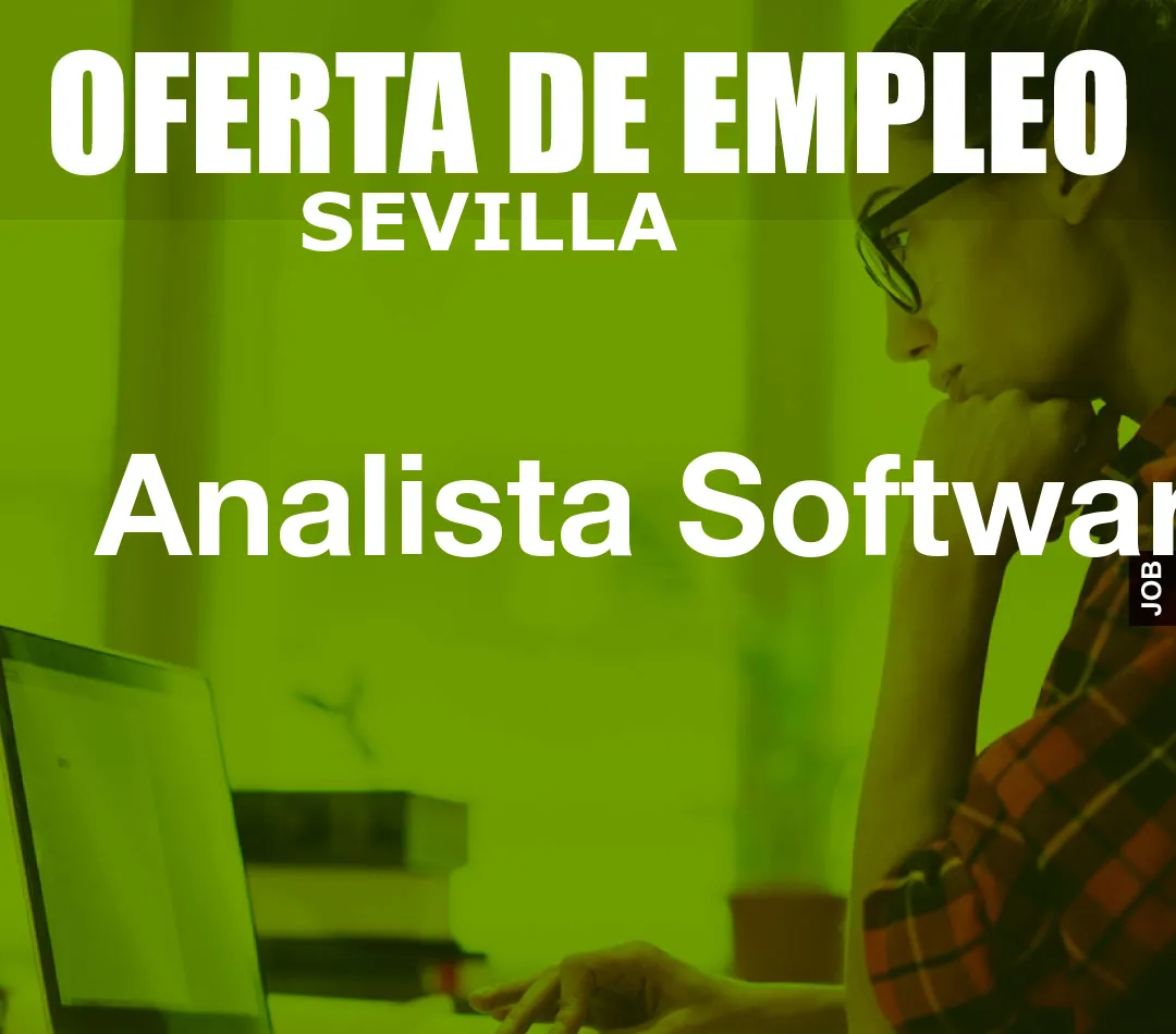 Analista Software