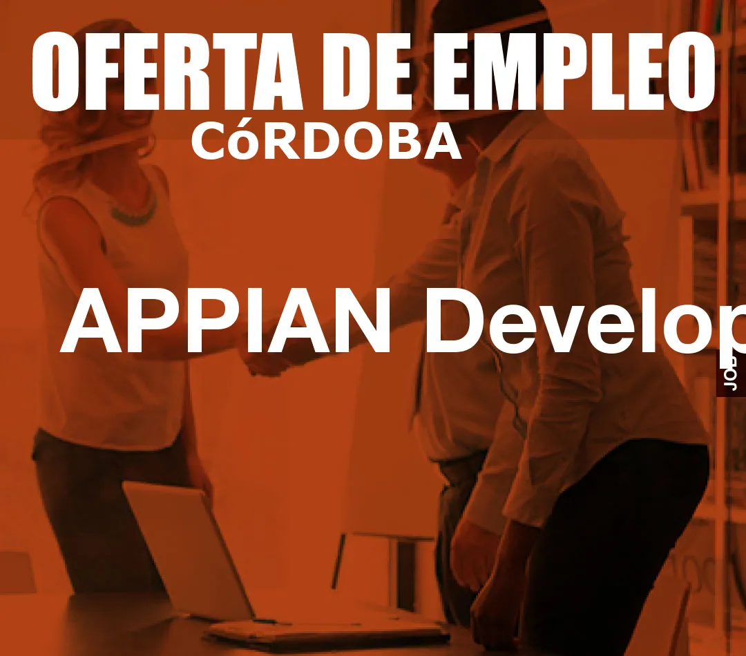 APPIAN Developer