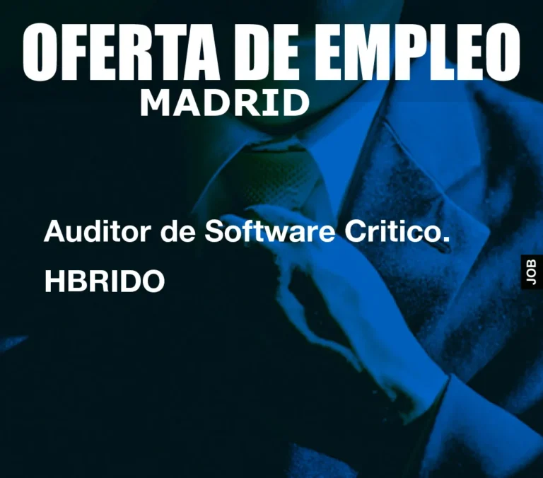 Auditor de Software Critico. HBRIDO
