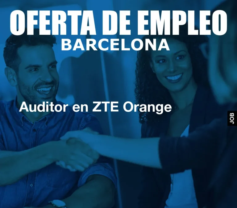 Auditor en ZTE Orange