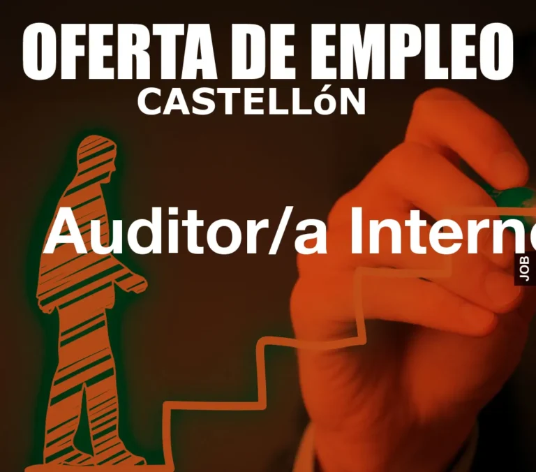 Auditor/a Interno