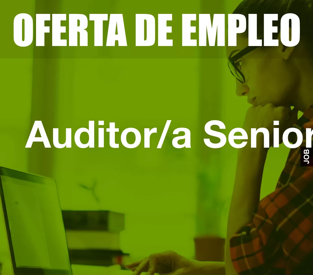 Auditor/a Senior Auditor/a Senior