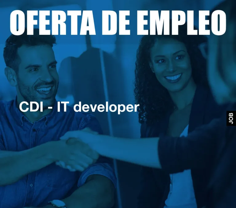 CDI – IT developer
