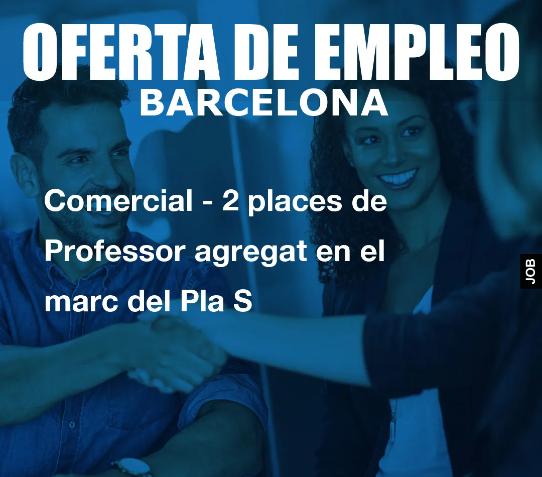 Comercial – 2 places de Professor agregat en el marc del Pla S