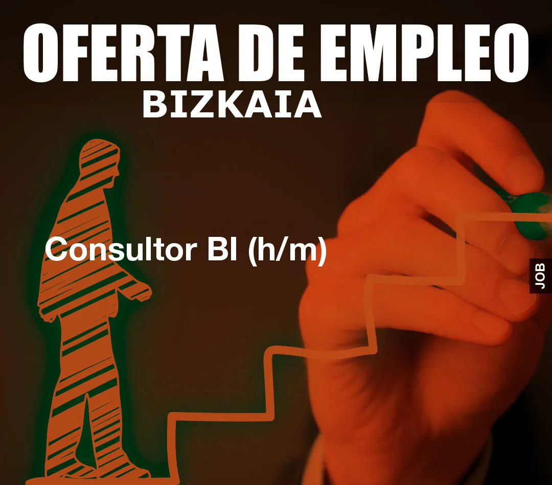 Consultor BI (h/m)