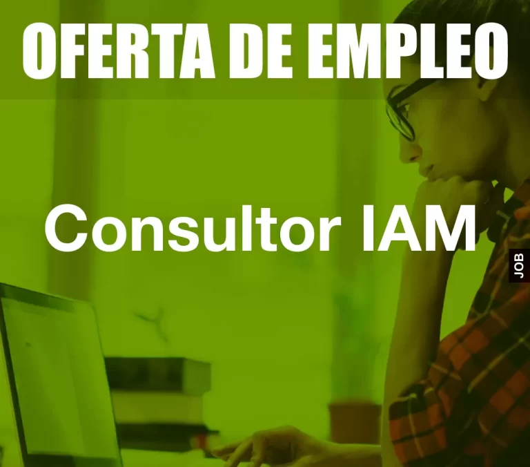 Consultor IAM