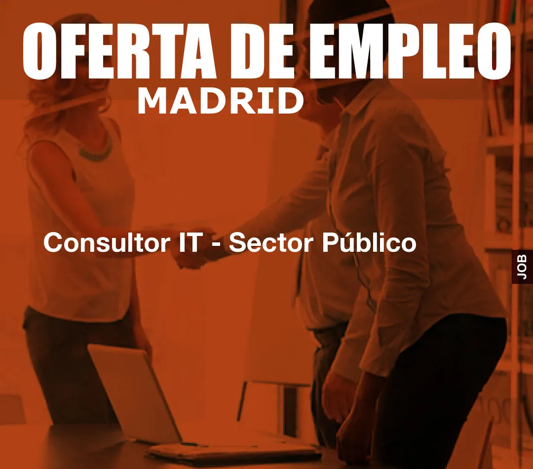 Consultor IT – Sector Público
