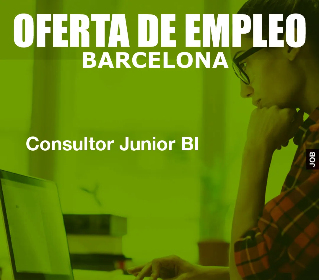 Consultor Junior BI