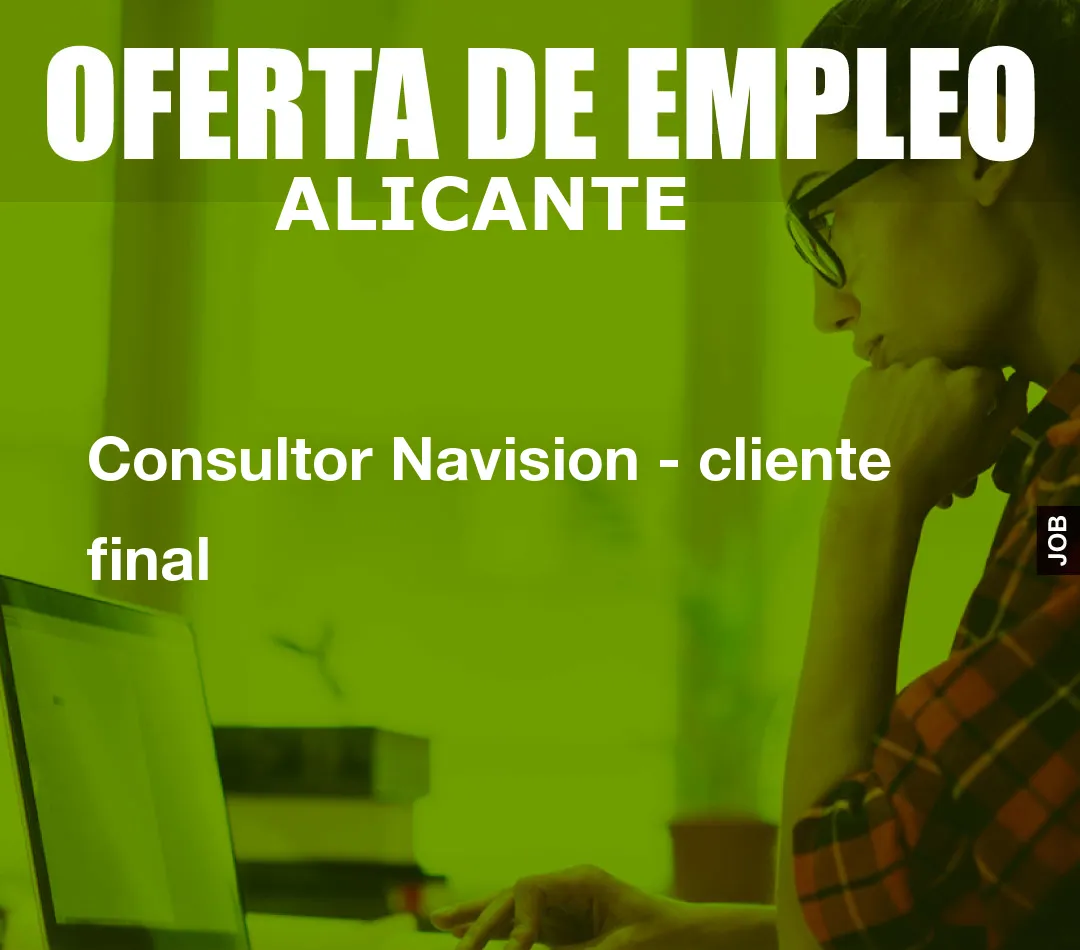 Consultor Navision – cliente final