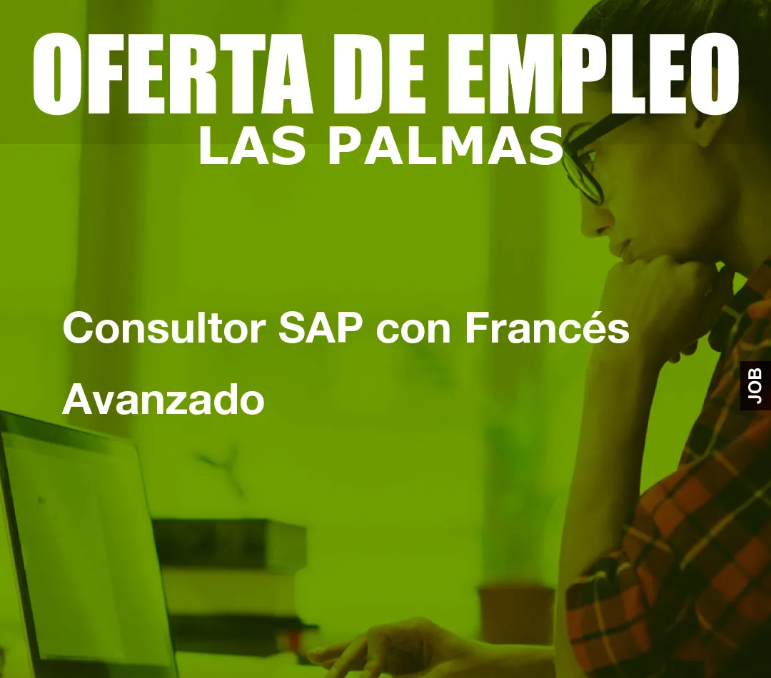Consultor SAP con Francés Avanzado Consultor SAP con Francés Avanzado