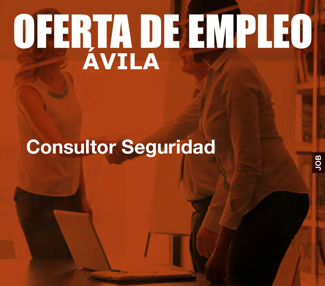 Consultor Seguridad
