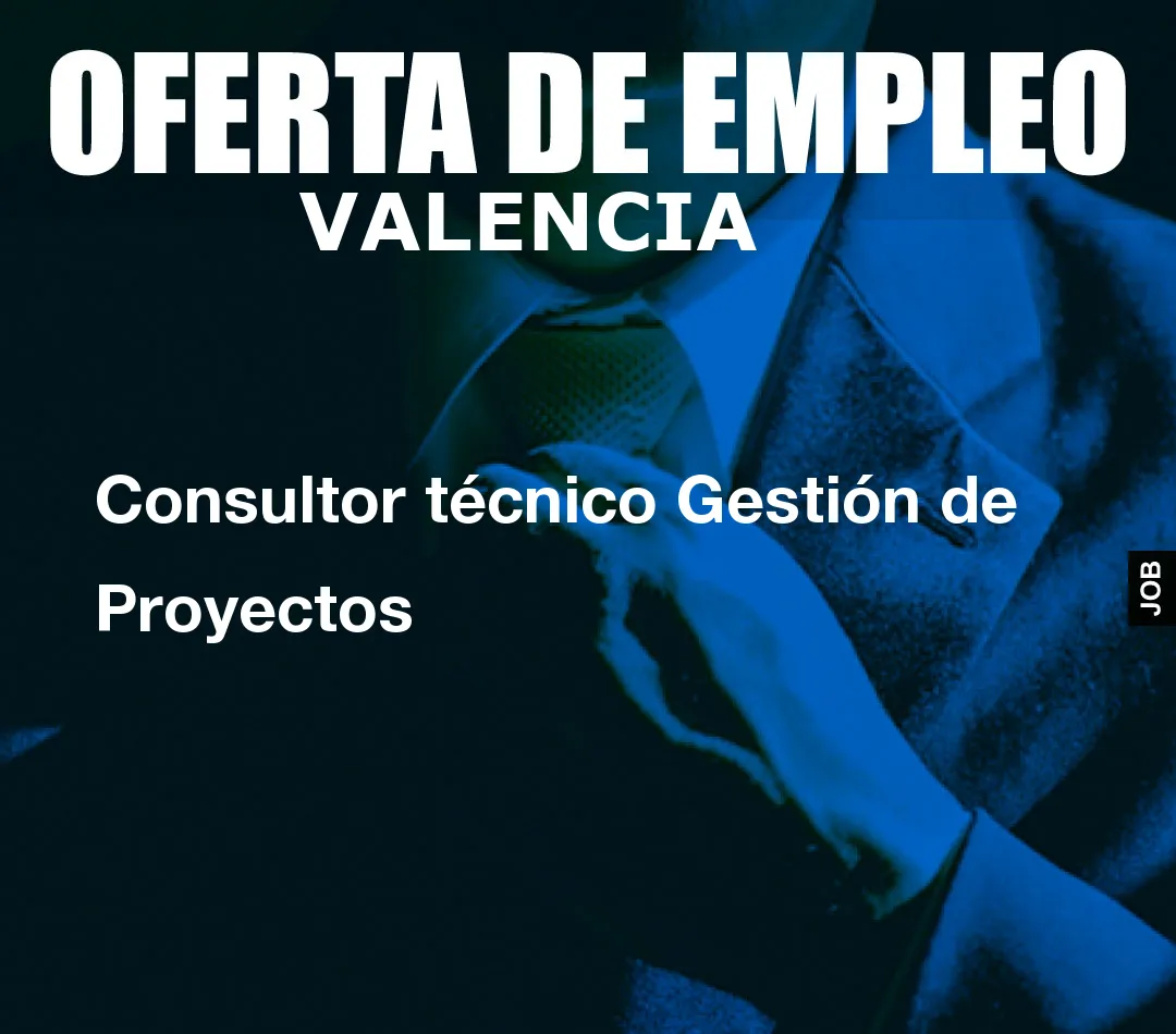 Consultor técnico Gestión de Proyectos