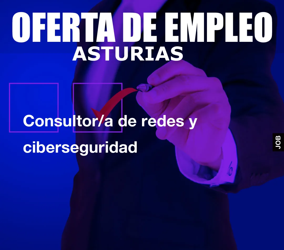 Consultor/a de redes y ciberseguridad