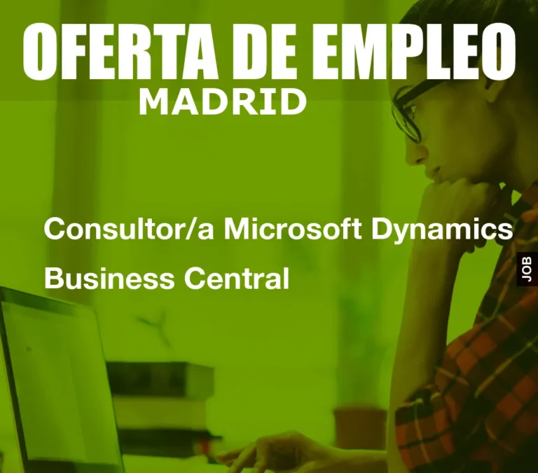 Consultor/a Microsoft Dynamics Business Central
