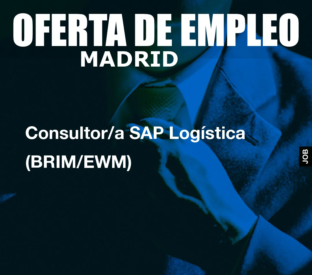 Consultor/a SAP Logística (BRIM/EWM) Consultor/a SAP Logística (BRIM/EWM)