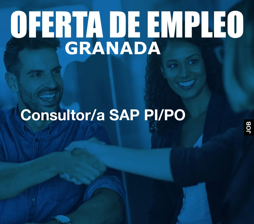 Consultor/a SAP PI/PO Consultor/a SAP PI/PO