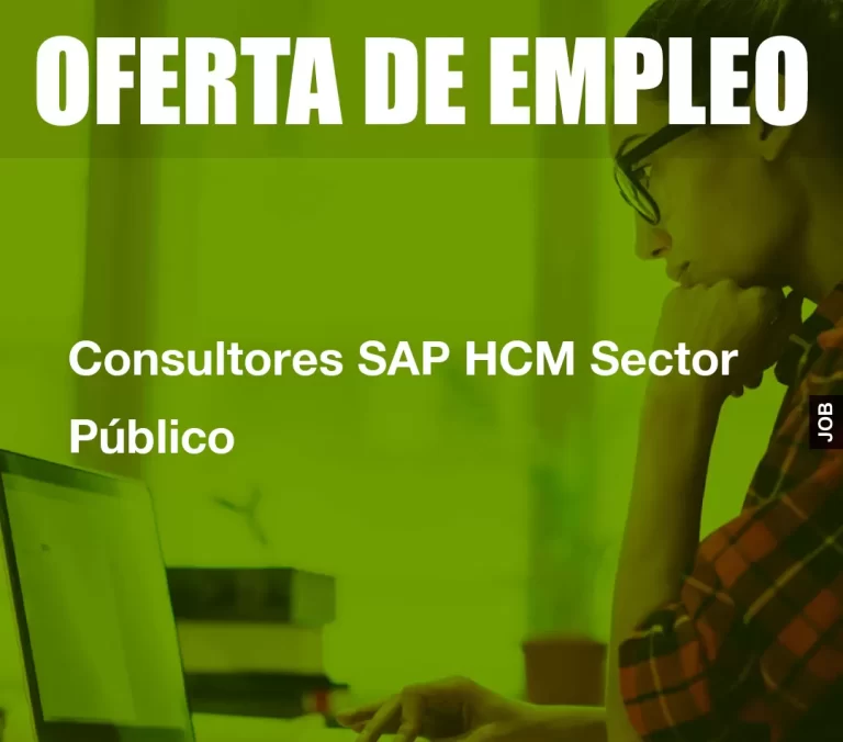 Consultores SAP HCM Sector Público