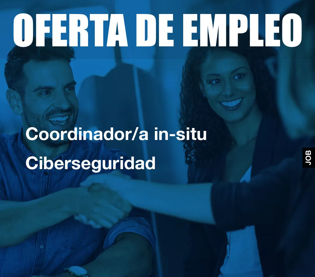 Coordinador/a in-situ Ciberseguridad Coordinador/a in-situ Ciberseguridad