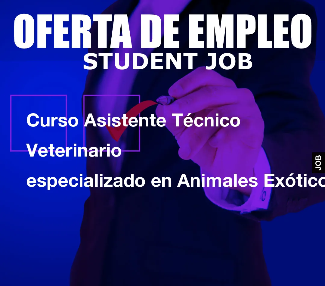 Curso Asistente T