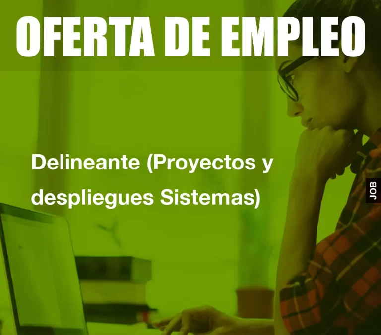 Delineante (Proyectos y despliegues Sistemas)