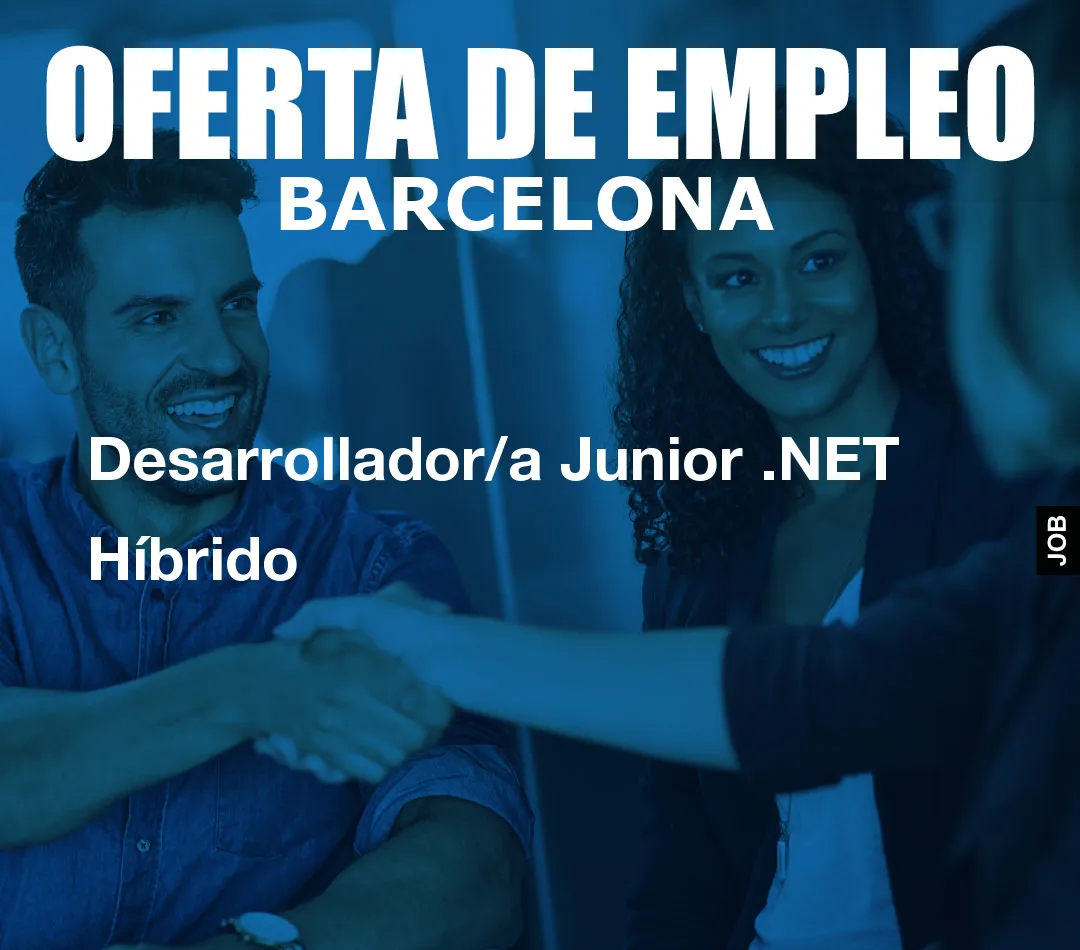 Desarrollador/a Junior .NET Híbrido