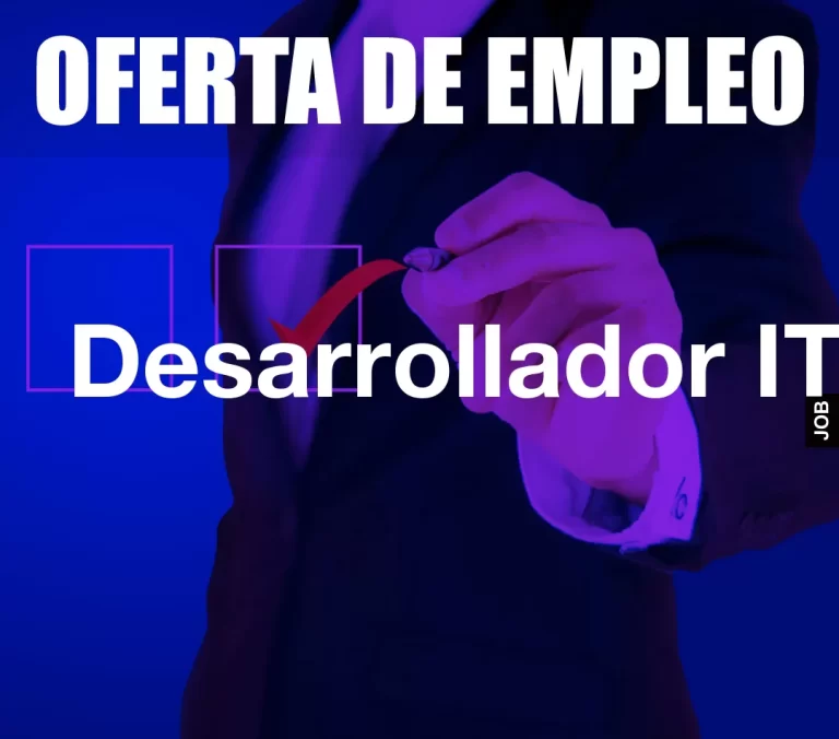 Desarrollador IT