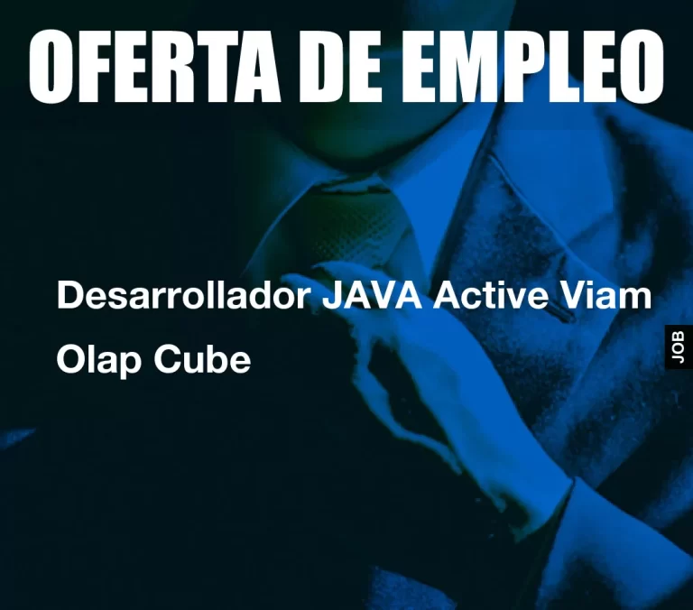 Desarrollador JAVA Active Viam Olap Cube