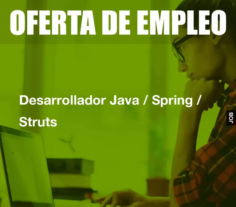 Desarrollador Java / Spring / Struts