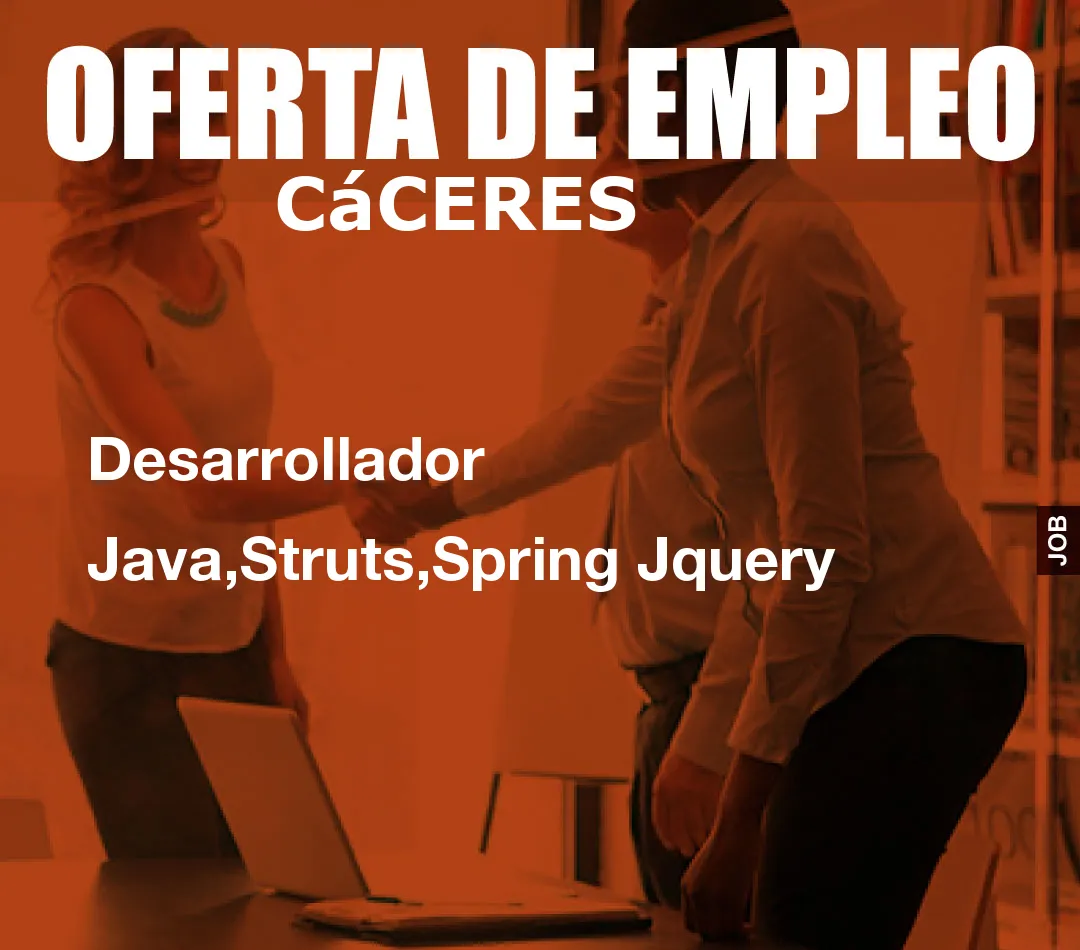 Desarrollador Java,Struts,Spring Jquery