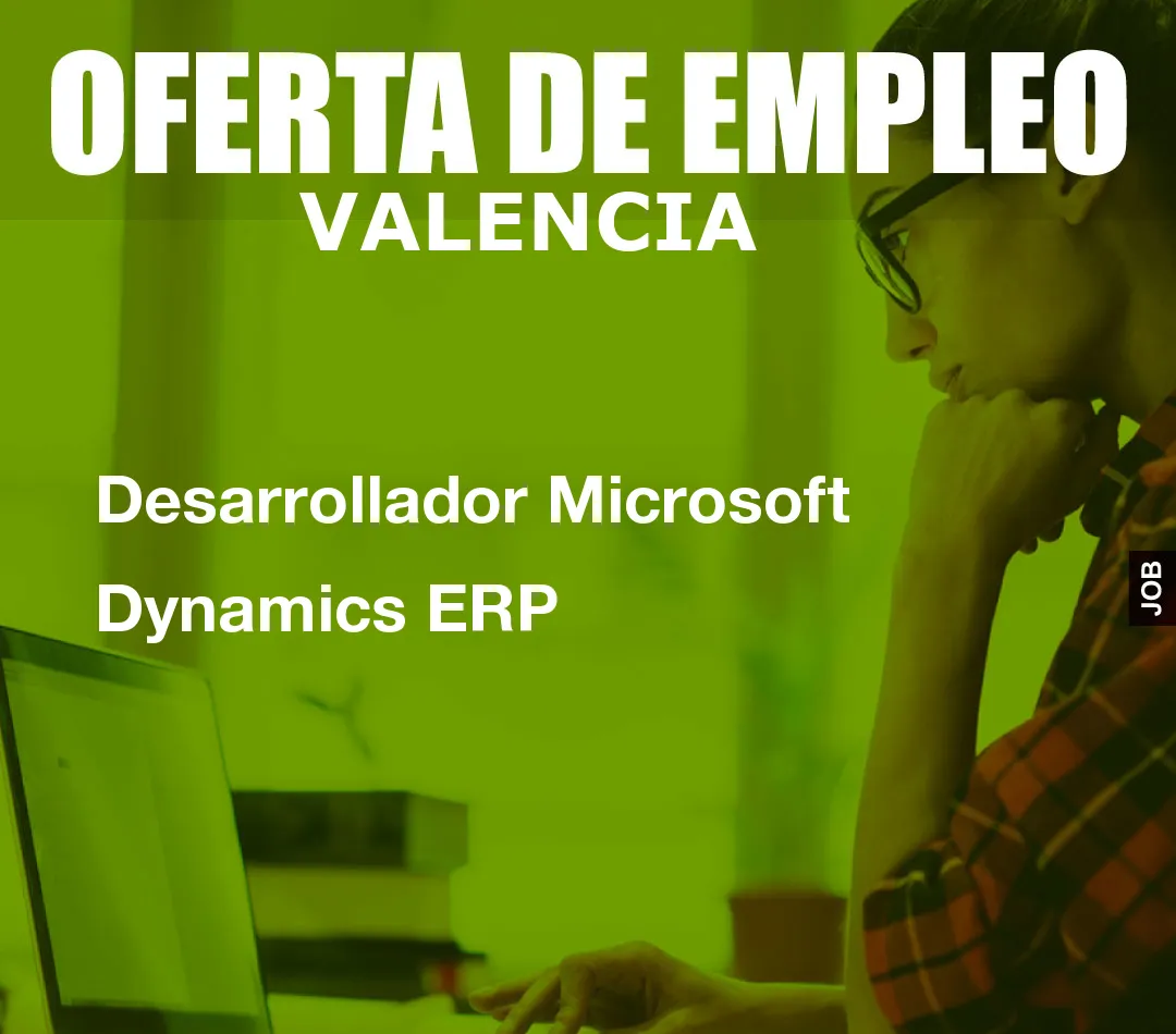 Desarrollador Microsoft Dynamics ERP