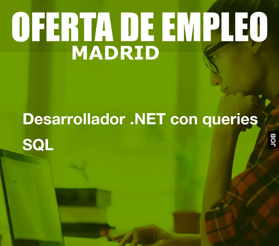 Desarrollador .NET con queries SQL