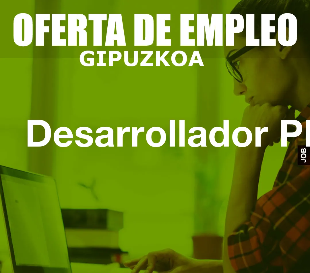 Desarrollador PLC Desarrollador PLC