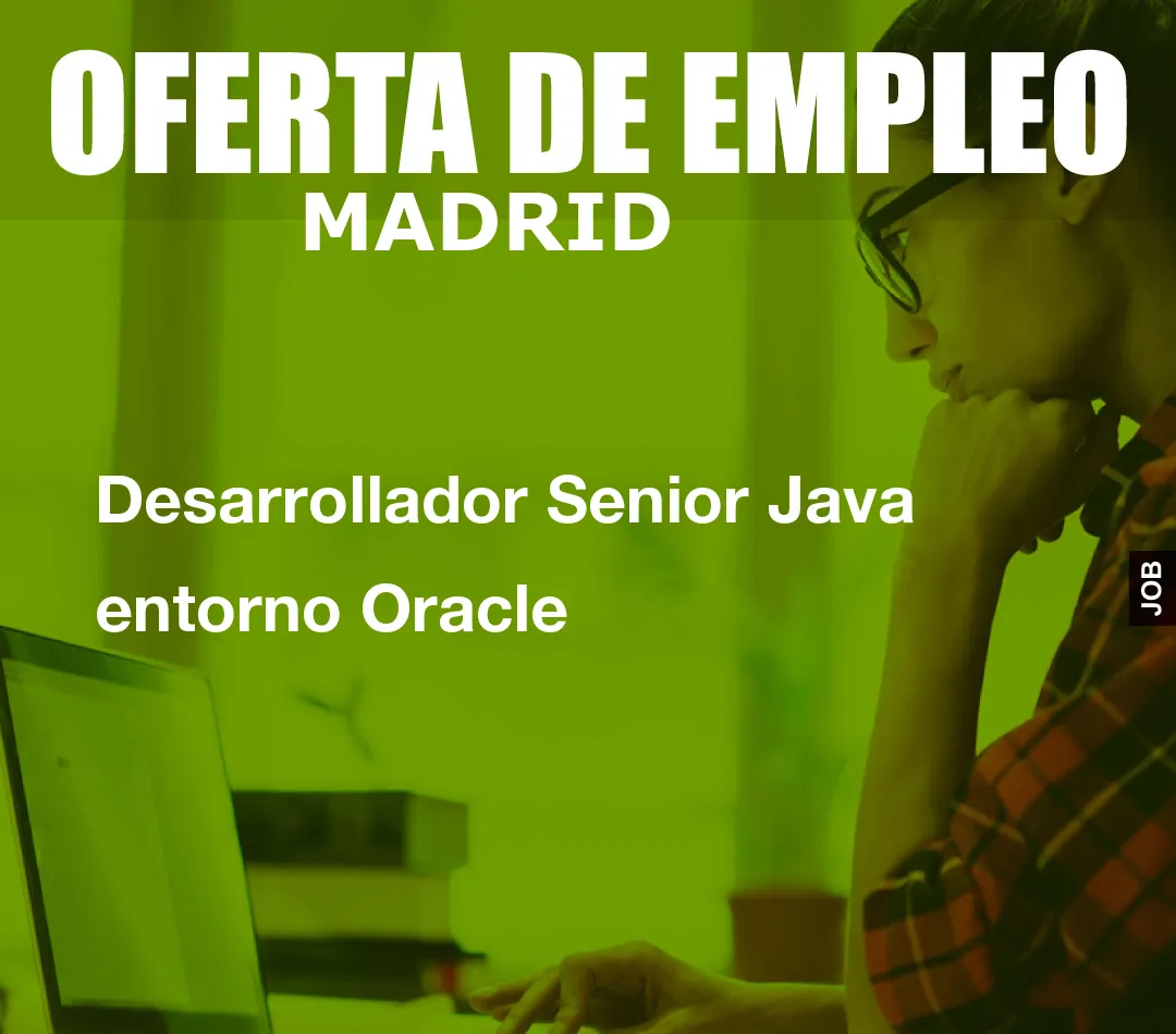 Desarrollador Senior Java entorno Oracle